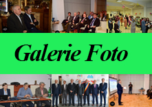 GALERIE